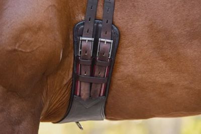 Cavalier Leather Elastic Two Buckle Girth - Black - two sizes
