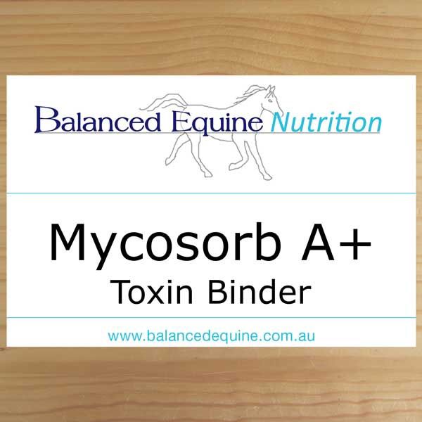 Balanced Equine Nutrition - Mycosorb A+ Toxin Binder