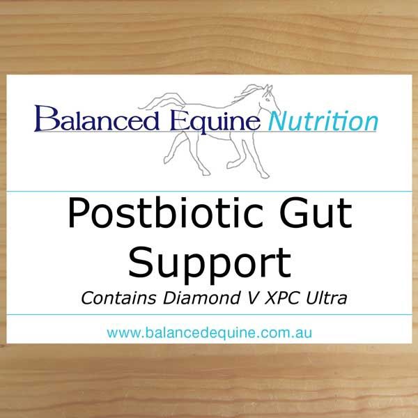 Balanced Equine Nutrition - Postbiotic Gut Support