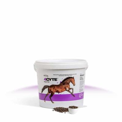 4CYTE Equine Granules 700g