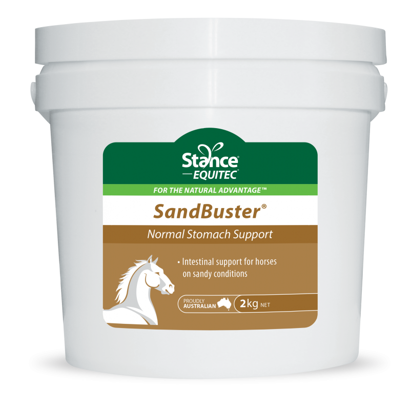 Stance SandBuster - 2kg