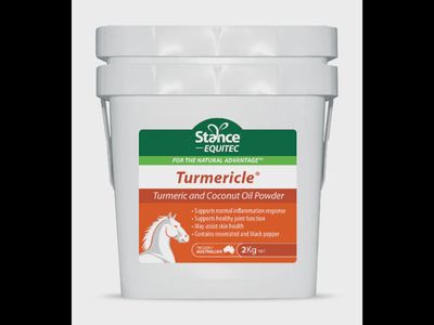 Stance Tumericle - 2kg