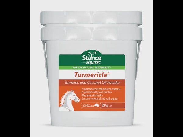 Stance Tumericle - 2kg
