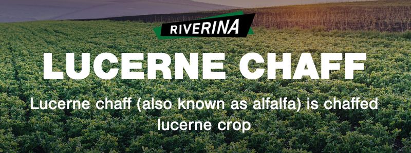 Riverina Lucerne Chaff