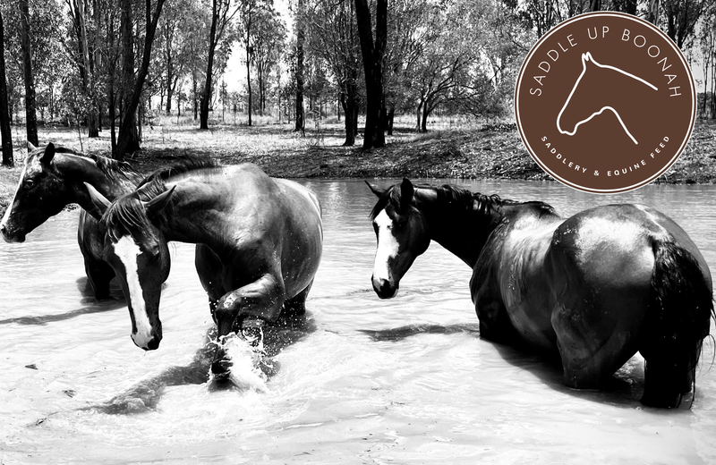 Saddle Up Boonah Gift card