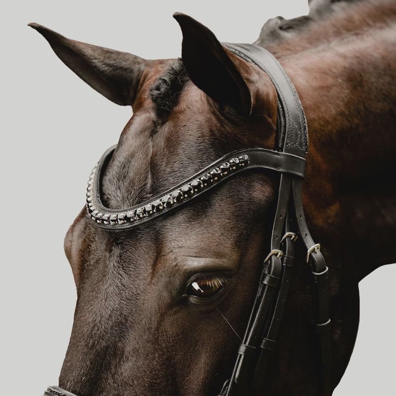 Lumiere 'Arcadia' luxury leather bridle (Cavesson)
