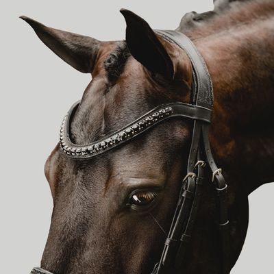 Lumiere 'Arcadia' luxury leather bridle (Cavesson)