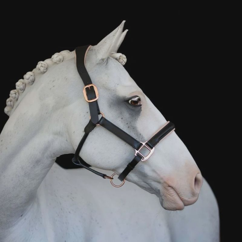Lumiere 'Hollywood' leather halter