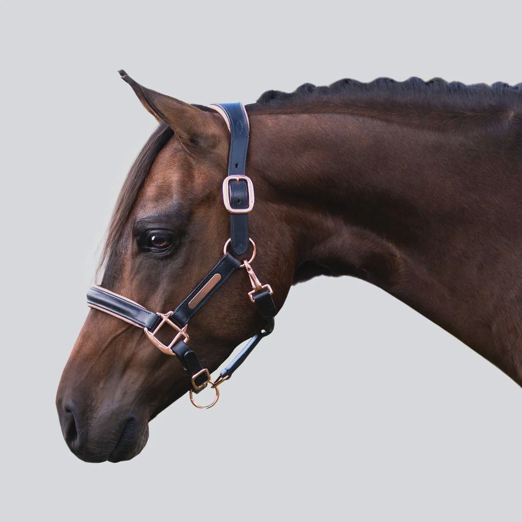 Lumiere &#39;Hollywood&#39; leather halter