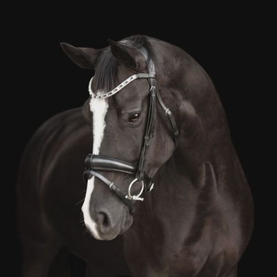 Lumiere &#39;Anastasia&#39; leather bridle (convertible)