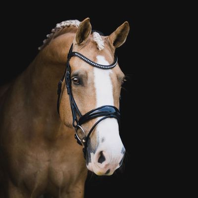 Lumiere 'Aurelie' rolled leather bridle (Hanoverian)