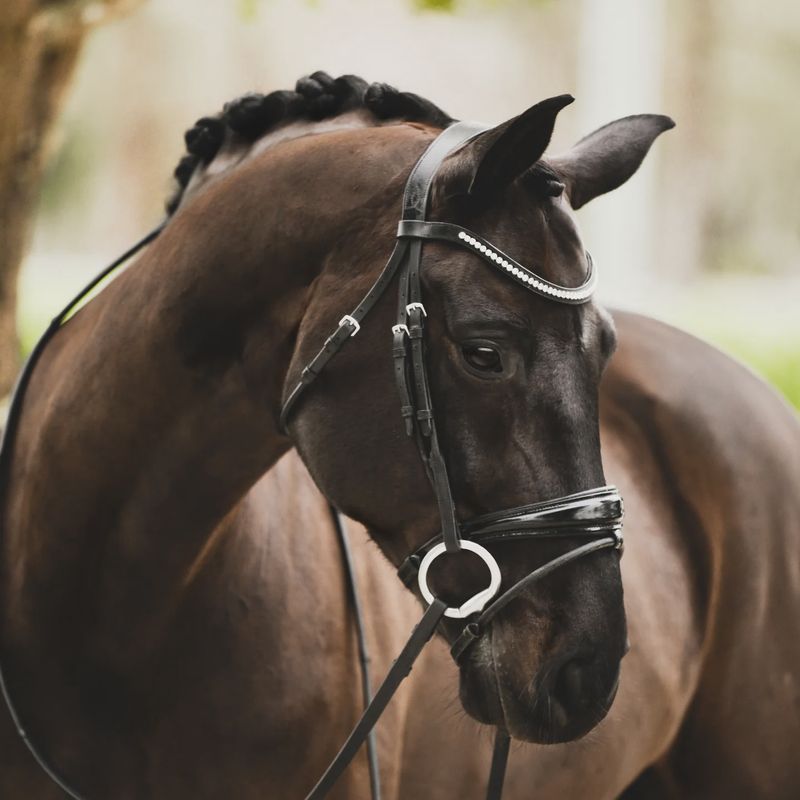 Lumiere 'Aurelie' rolled leather bridle (Hanoverian)