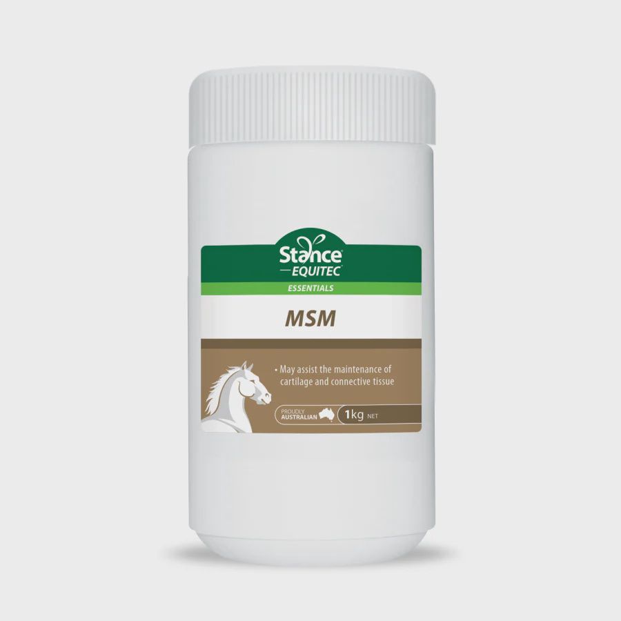 Stance MSM Powder - 1kg