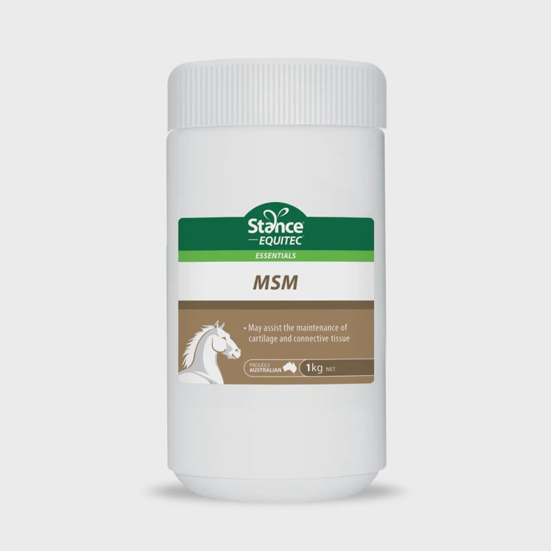 Stance MSM Powder - 1kg