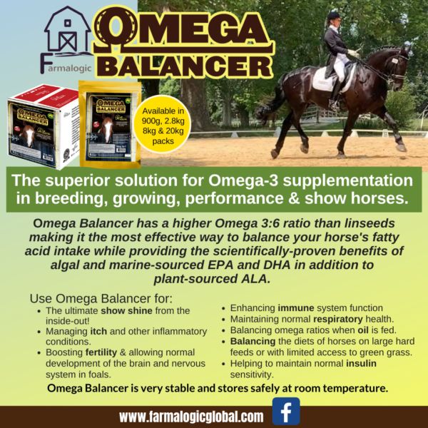 Omega Balancer - 8kg