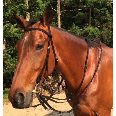 Market Harborough Martingale