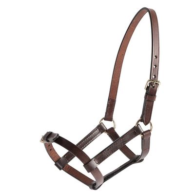 Leather foal halter