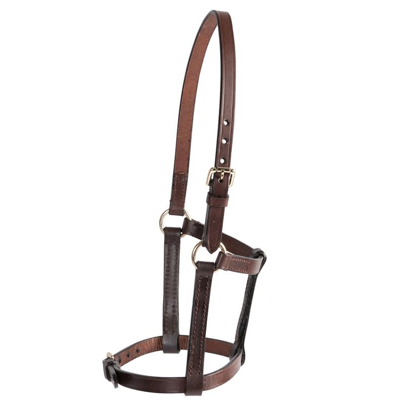 Leather foal halter