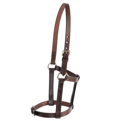 Leather foal halter