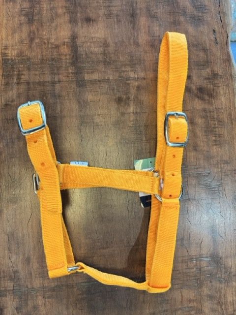 Eureka - Buckle Halter