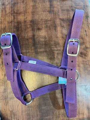 Eureka - Buckle Halter - three sizes