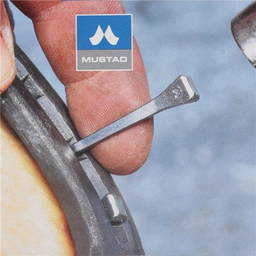 Mustad Horseshoe Nails - bevel head