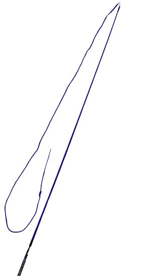 Swivel Top Lunge Whip