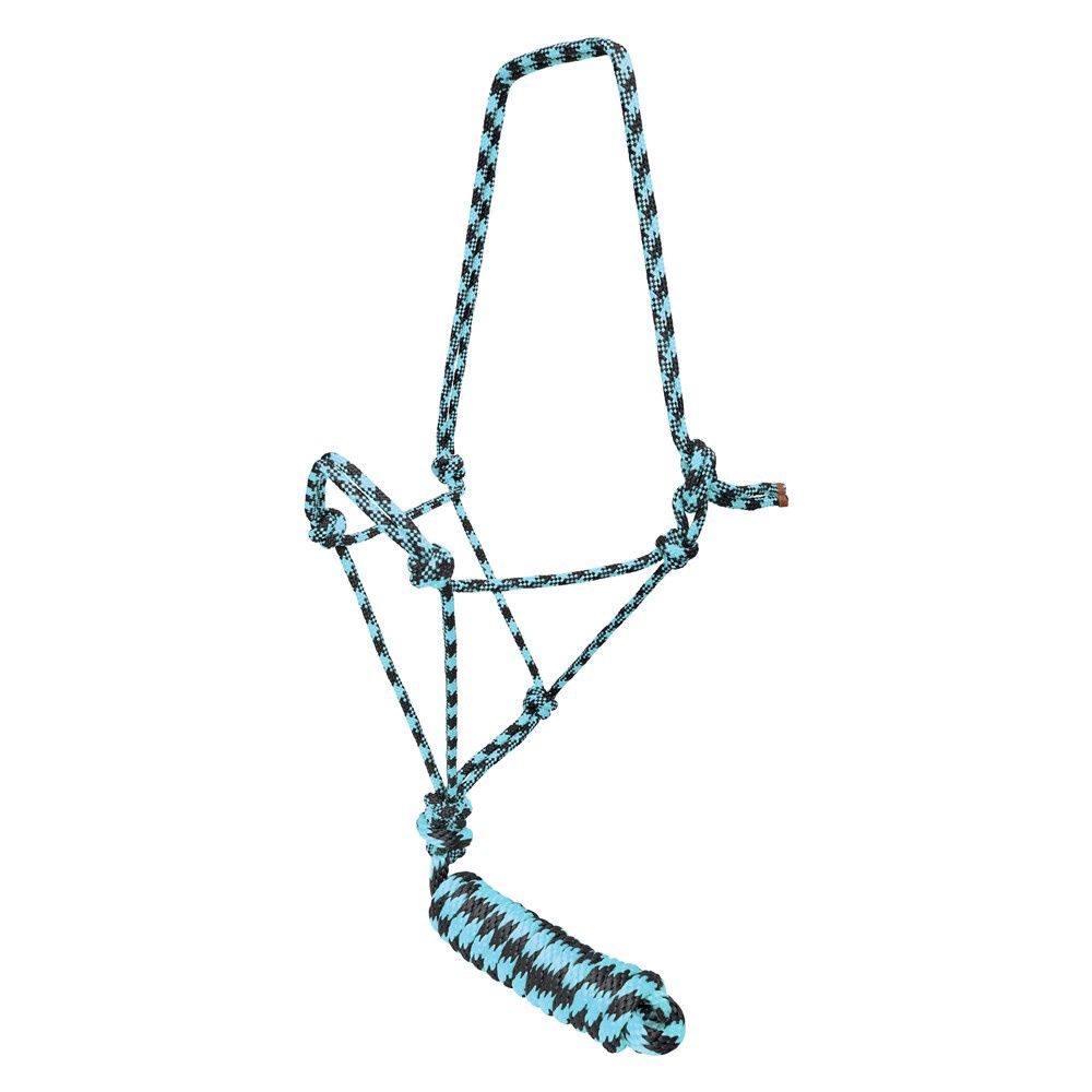 Fort Worth Rope Halter &amp; Lead, Colour: Black/Turquoise