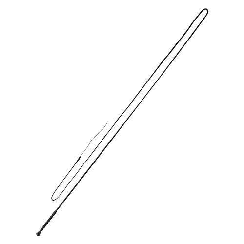 Nylon Lunge Whip Black