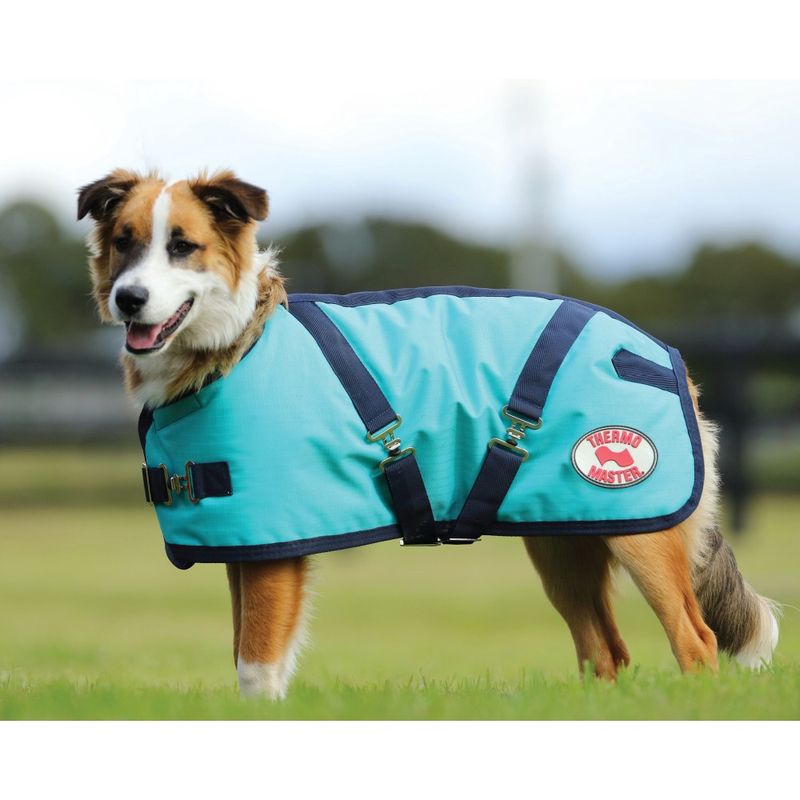 Supreme Dog Coat - Teal/Navy
