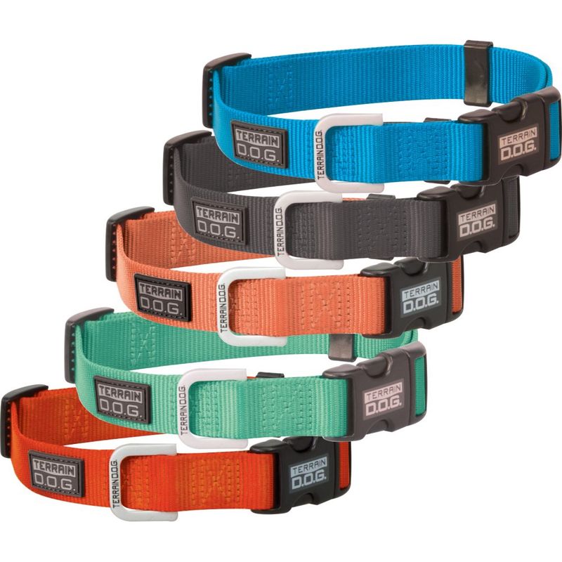Weaver nylon snap and go dog collar
