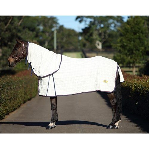 Heavy tear-stop horse rug
