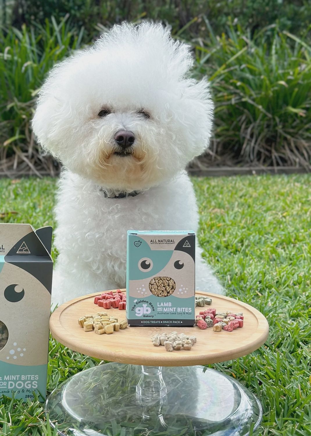 Lamb &amp; Mint Bites - Dog Treats