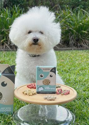 Lamb &amp; Mint Bites - Dog Treats