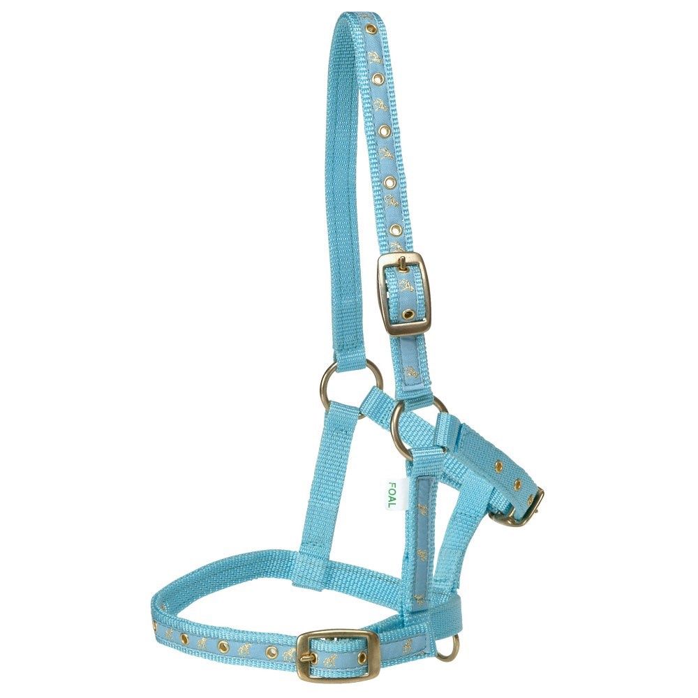 Deluxe Foal Halter, Colour: Blue