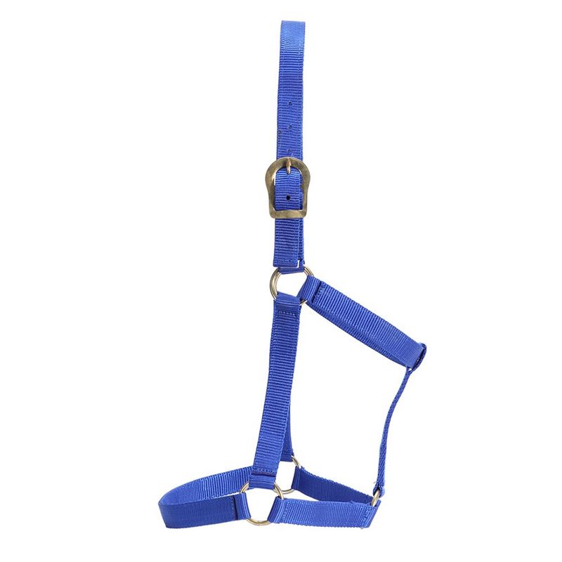 GG Australia Stable Halter - 4 colours