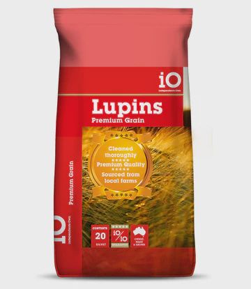 Whole Lupins - iO