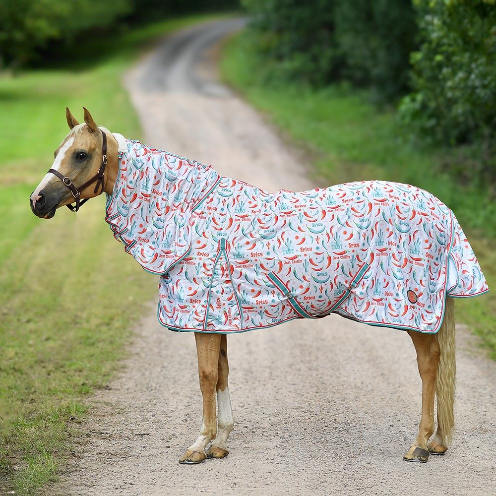 Kool Master Hot to Trot fly mesh combo