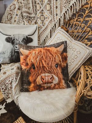 Milo - Highland Cow Cushion Cover