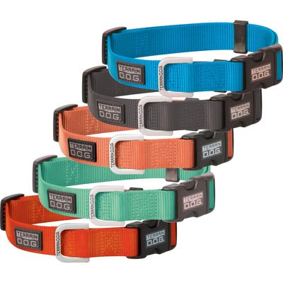 Dog leads and collars