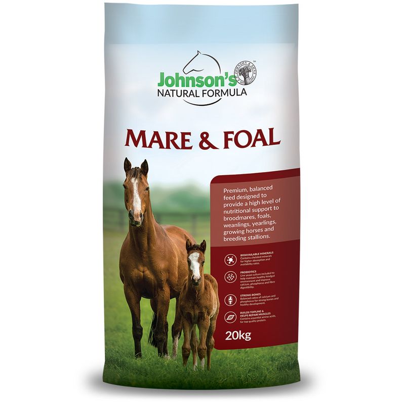 Johnson's Mare &amp; Foal