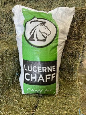Lucerne Chaff