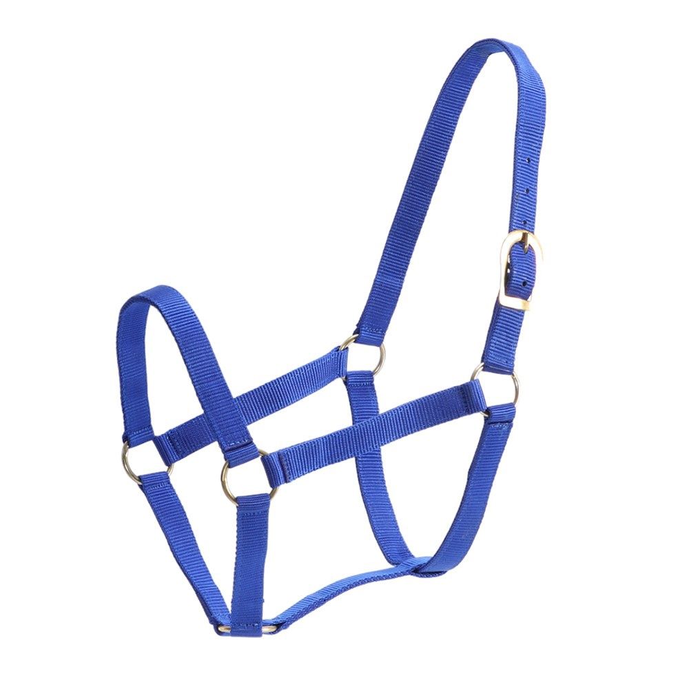 GG Australia Stable Halter - 4 colours, Colour: Blue, Size: Cob