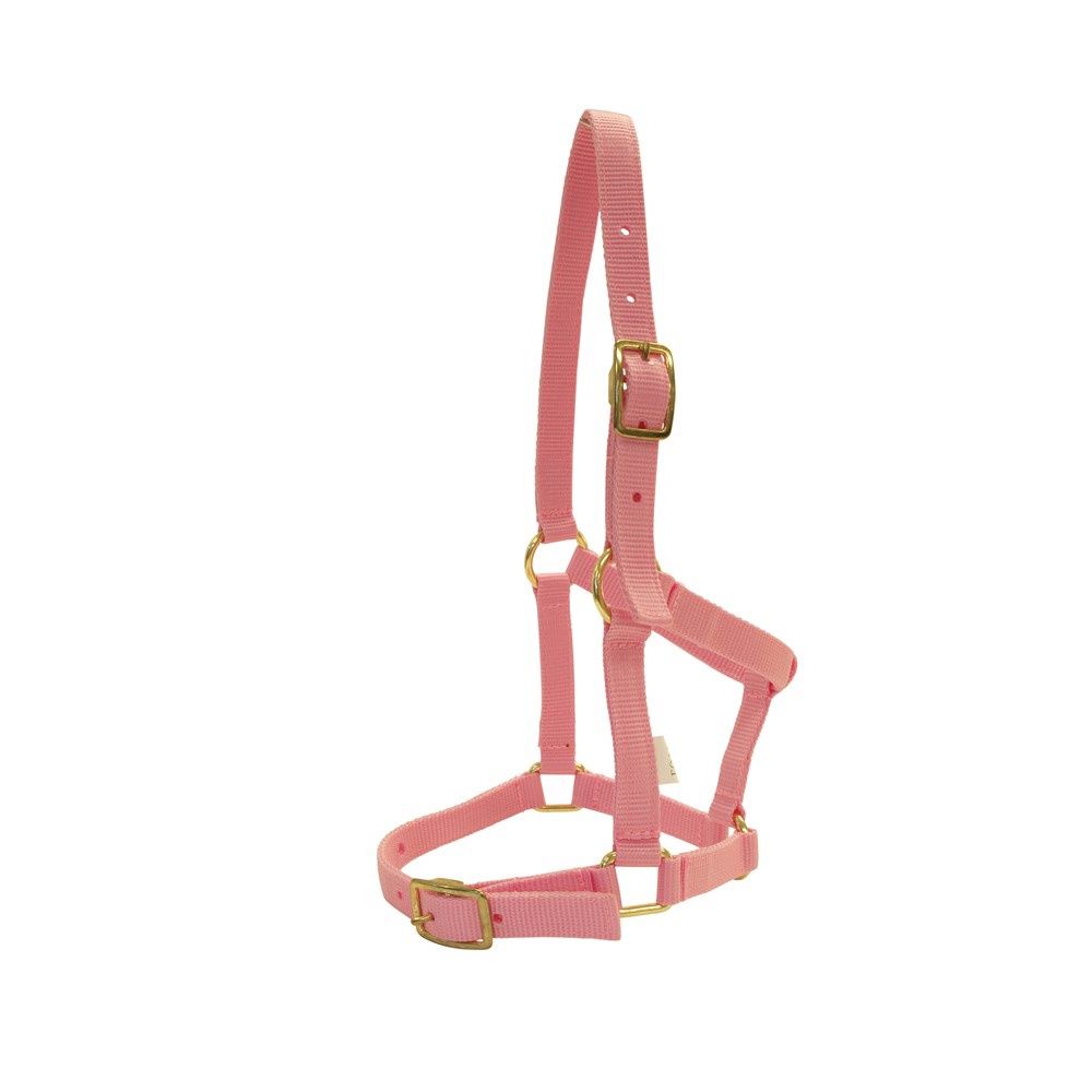 Rancher Nylon Foal Halter