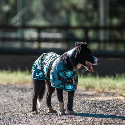 Supreme Dog Coat - Aztec/Turquoise