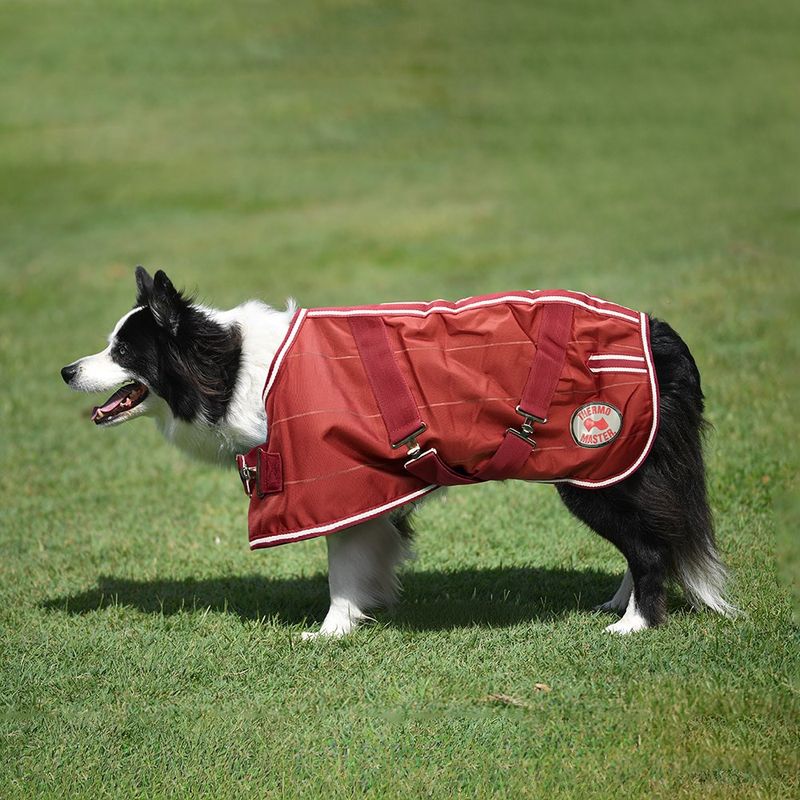 Supreme Dog Coat - Cherry Hi-Vis