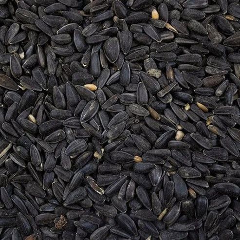 Black Sunflower Seeds 15kg