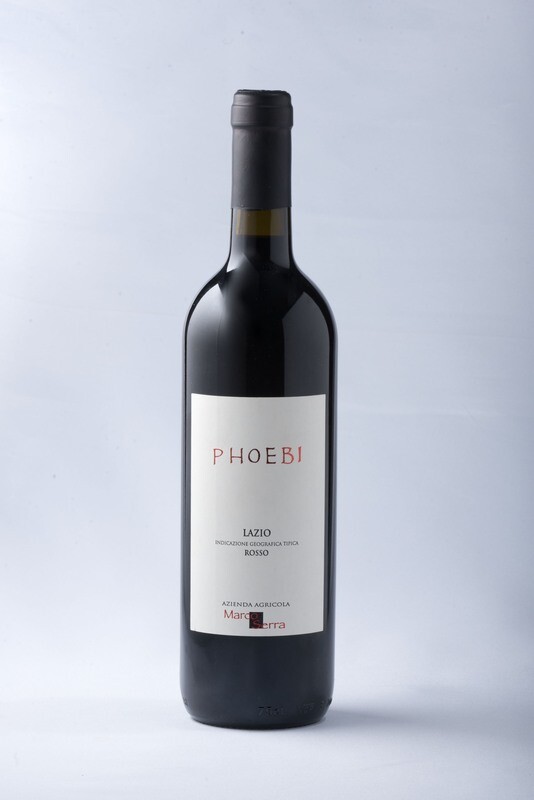 PHOEBI IGT LAZIO ROSSO 2023 100% BIOLOGICO