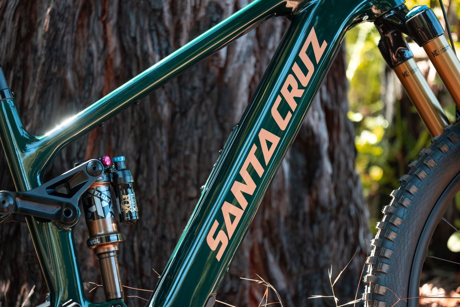 SANTA CRUZ Vala C MX AUS GX AXS-Kit