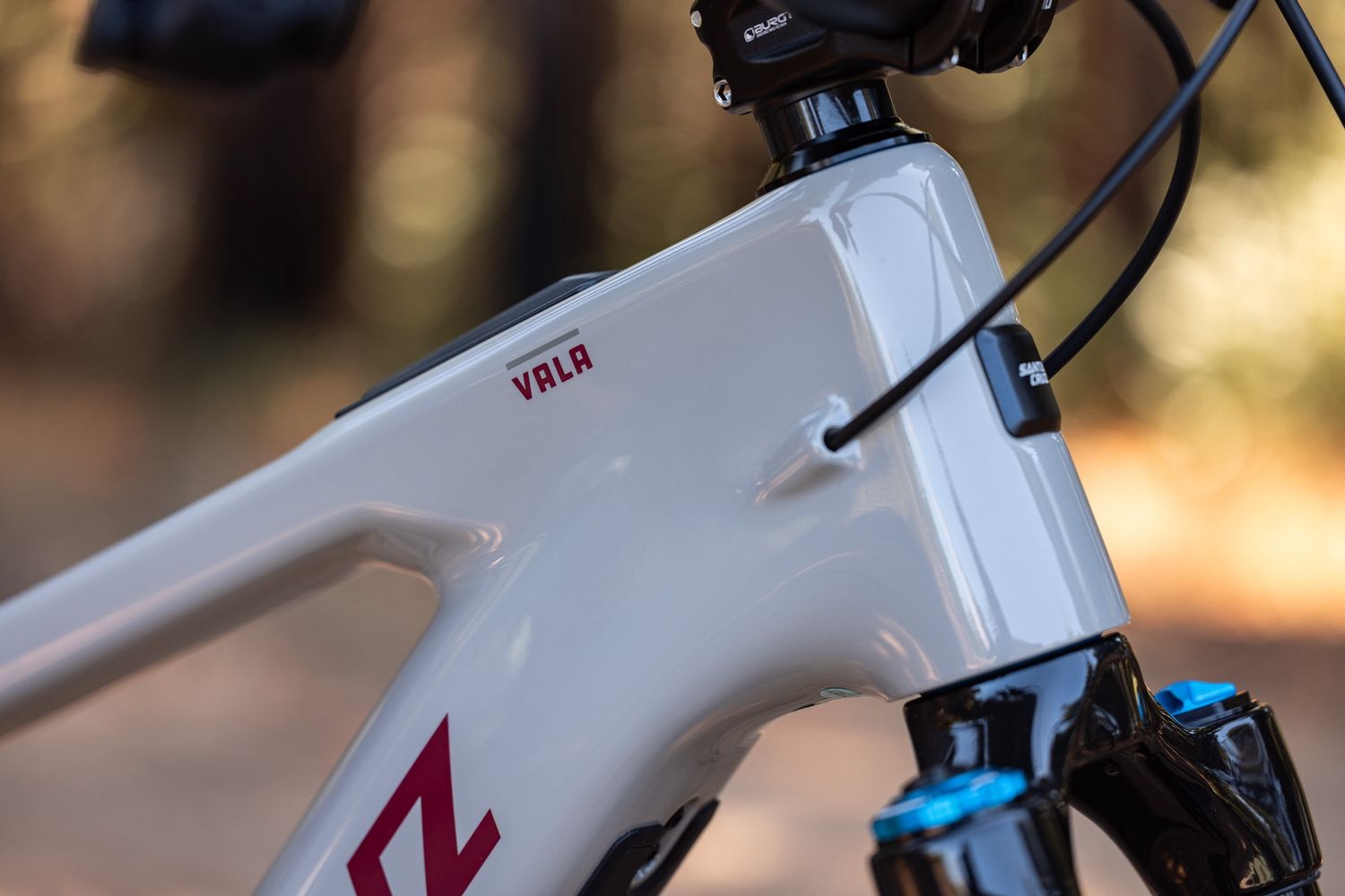 SANTA CRUZ Vala C MX AUS GX AXS-Kit